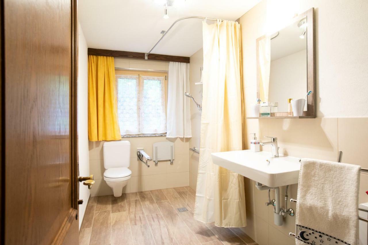 Apartment Am Bach Mellau Luaran gambar